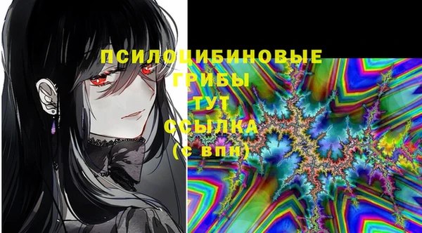 бошки Алексеевка