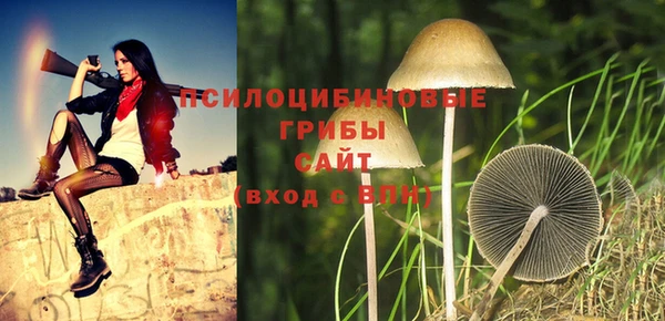 ПСИЛОЦИБИНОВЫЕ ГРИБЫ Алексин
