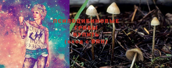ПСИЛОЦИБИНОВЫЕ ГРИБЫ Алексин