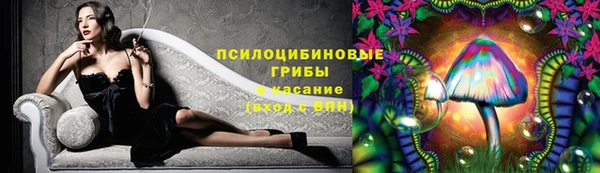 ПСИЛОЦИБИНОВЫЕ ГРИБЫ Алексин
