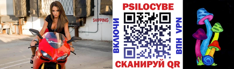 Псилоцибиновые грибы прущие грибы  Уяр 